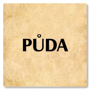 Půda, 100x100mm, pergamen, Nevada